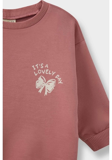 Defacto Kız Bebek Çiçekli Sweatshirt Kumaşı 2li Takım E8993a525aubr103 Pembe Defacto Kız Bebek Çiçekli Sweatshirt Kumaşı 2li Takım E8993a525aubr103 Pembe