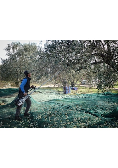 Cifarelli Sc 605 Kancalı Zeytin Hasat Makinesi