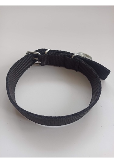 Kozaklı Orta Irk Köpek Tasması Siyah 60 x 3 CM Siyah