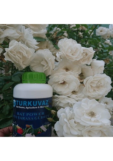 1 L Turkuvaz Bat Power Organik Sıvı Yarasa Gübresi