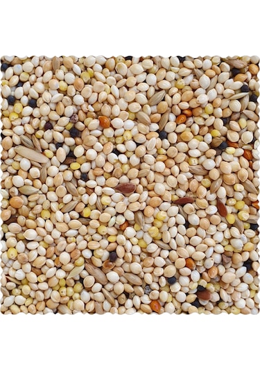 26Bars&A Band İthal Karışık Muhabbet Kuşu Yemi 10 KG