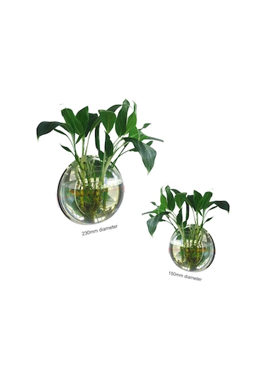 Hombey Duvar Takılı Akvaryum, Akrilik Materyal, 15 Cm Çap, Kolay Kurulum, Ev/ofis Dekorasyonu, Type 1 Ayna