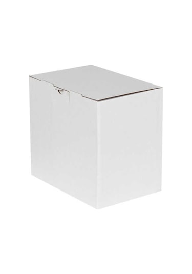 Beyaz Kilitli Kargo Kutusu / Ebat: 22x15x20 Cm 100 A