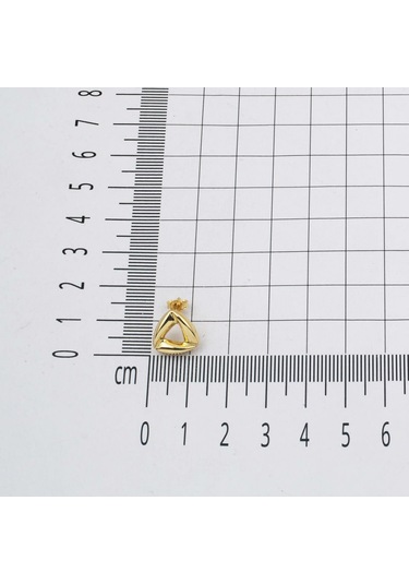 Bilezikci Temu Çivili Tasarım 14 Ayar Bayan Küpe 8692500277260