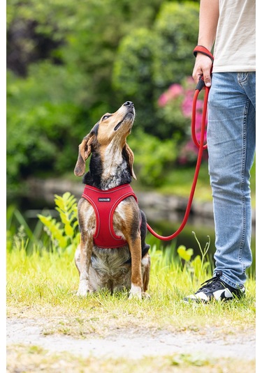 Beeztees Köpek Göğüs Tasması, Neopren, Kırmızı, M, 41-46cm Çok Renkli