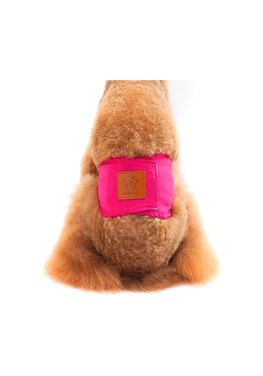 Pet Erkek Köpekler İçin Düz Renk Fizyoloji Pantolon Kibar Ve Taciz Önleyici Köpek Güvenlik Pantolonu, Boyut: S Kırmızı