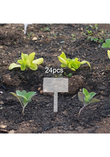 Suntek 24x Akrilik Bitki Etiketi Adı , Yeniden Kullanılabilir