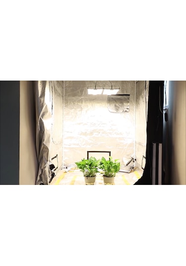 240w Quantum Board Bitki Yetiştirme Lambası 283b Full Spektrum
