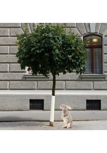 Suntek 40cm Ağaç Gövdesi Koruyucu Sarma Bitki Örtüsü Beyaz