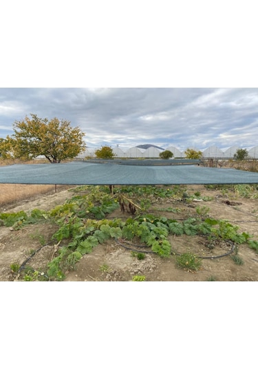 Morilu Gölgelik File - 40'Lık Çit Filesi - Yeşil - Bahçe Gölgelik - Balkon Gölgeliği - Çit Örtüsü - Yeşil File