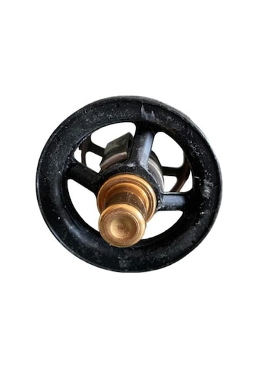 Termostat 75 Derece (Yazlık) 16958.76