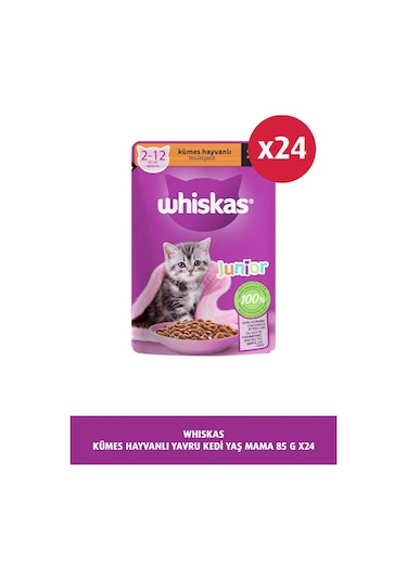 Whiskas Pouch Kümes Hayvanlı Yavru Kedi Maması 24 x 85 G