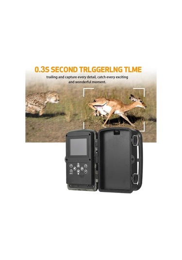 Dancemonkey Kamerası Gece Görüşlü Hareketle Etkinleştirilen Su Geçirmez 2.7k 24mp 120 Yaban Hayat Çok Renkli