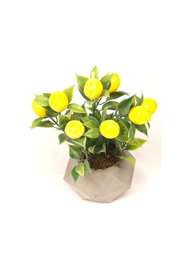 Limon Ağacı Dekoratif Beton Saksıda Mini Yapay Limon Ağacı Tanzimi Sarı-beyaz