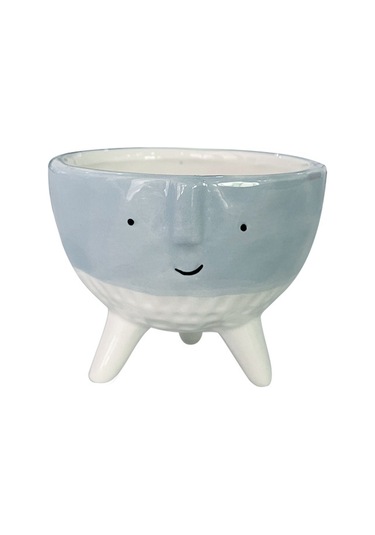 Karikatür Küçük Dekoratif Saksı