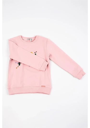Kız Bebek Pembe Uzun Kollu Kuş Nakış Detaylı Kışlık Sweatshirt Pembe