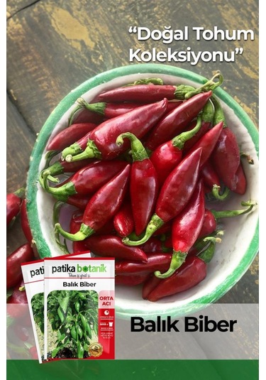 100 Adet Balık Biber Tohumu