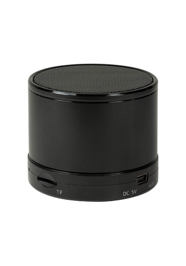 Logilink SP0051 Speaker Bluetooth Micro SD SİLVER