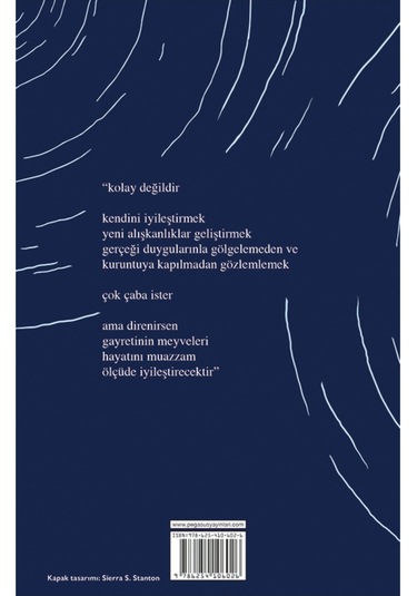 Netlik Ve Bağlantı - İçindeki Evren Üçlemesi 2. Kitap Yung Pueblo