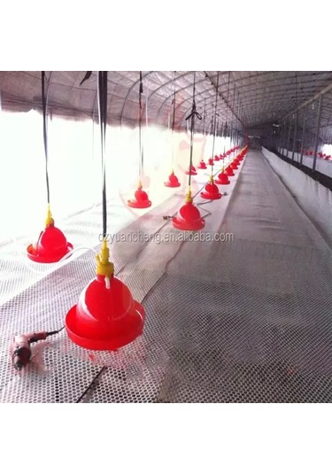 Şamandıralı Suluk