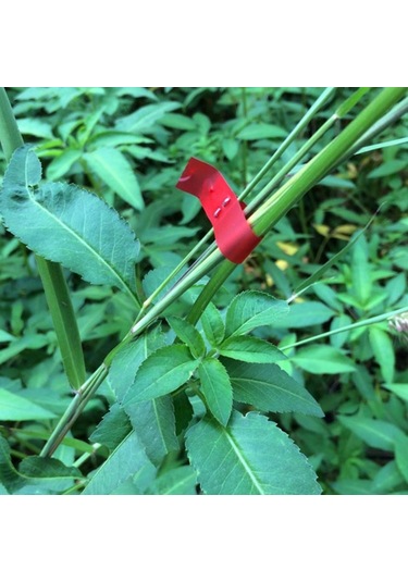 Tarım Bant Aracı El Bağlama Makinesi Bahçe Tesisi Bant Aracı Tapener Makinesi Yapışkan Bant Makinesi Green