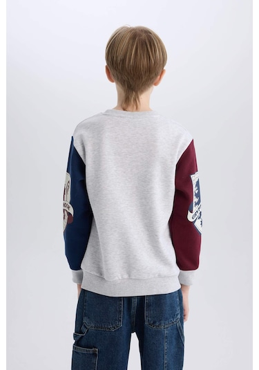 Defacto Erkek Çocuk Harry Potter Regular Fit Bisiklet Yaka Sweatshirt D4258a8nsgr400 Gri