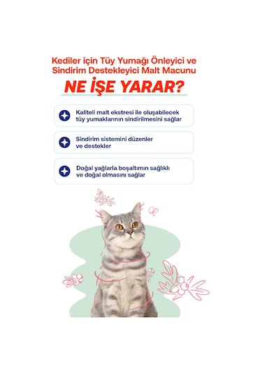 Biofeline Kediler İçin Malt Macun 100 G