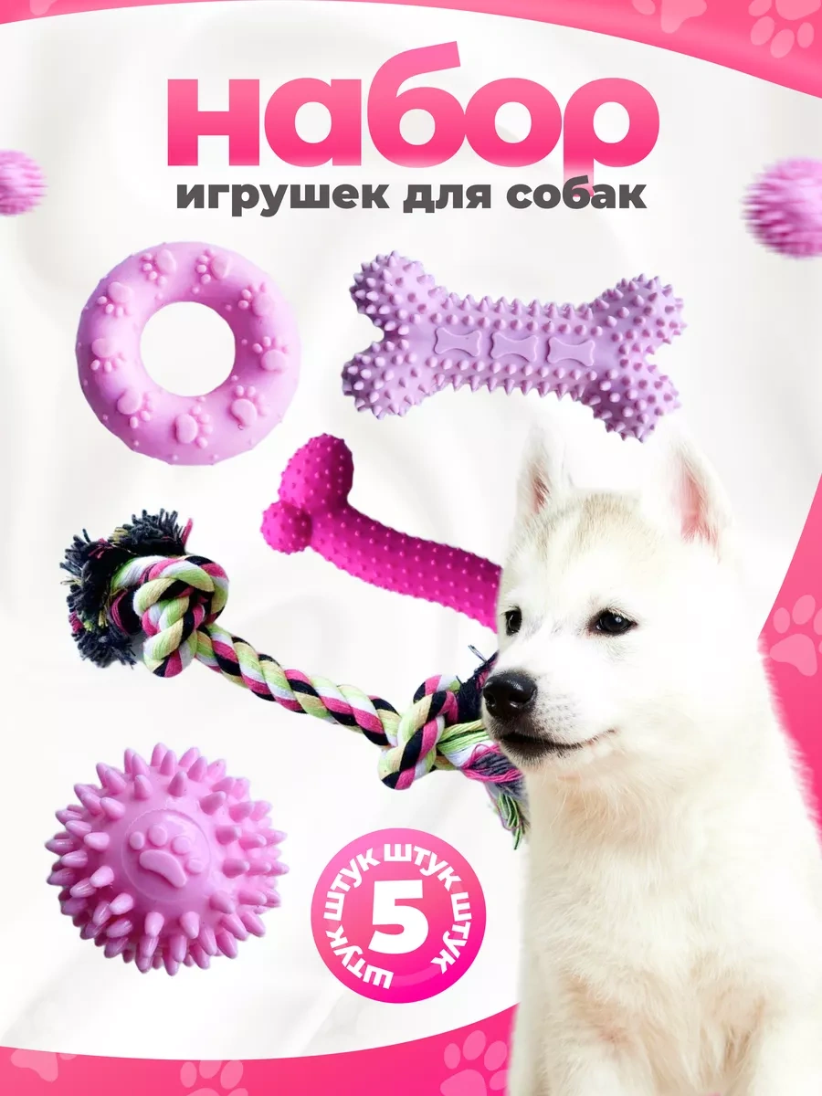 Toysfordogs 5 Parçalı Lastik Köpek Oyuncakları Seti 240710074