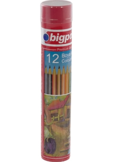 Bigpoint Bp941-12 Metal Tüpde Kuru Boya Kalemi 12 Renk