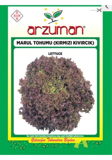 Arzuman Marul Tohumu
