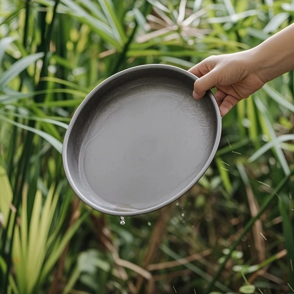 Fortunelane Titanyum Yemek Tabağı - Anti-bakteriyel, Kolay Taşınır, Kamp & Piknik İçin Renkli Çok Renkli