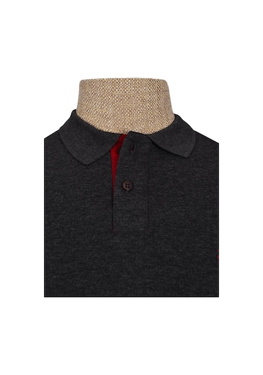 Cengiz İnler Polo Yaka Düz T-Shirt Slim (548479043)
