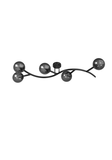 Noria Modern Siyah Metal Gövdeli 5 Li Füme Cam Küre Avize