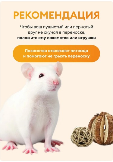 Loorı Kemirgenler Ve Kuşlar İçin Taşıyıcı Mini 25x21x16 140844943