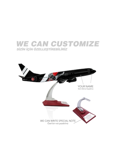 Zekupp Boeing 737-800 1/100 Ölçek Siyah Kartal Tasarımlı Maket Uçak