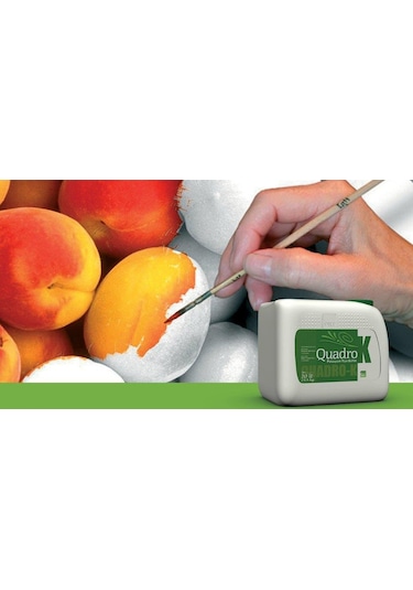 Quadro-K | Potasyum Tiyo Sülfat 20 Litre