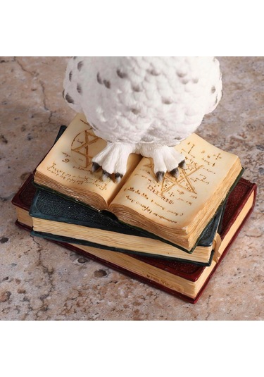 Kitap Üzerinde Beyaz Kar Baykuşu Hedwig Biblosu - Harry Potter