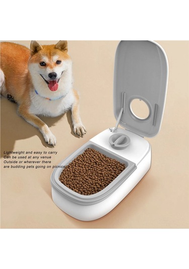Jıalan Pet Besleyici Otomatik Evcil Hayvan Besleyici Çok
