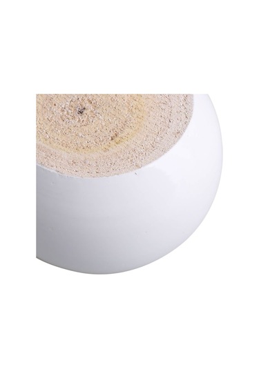 Beyaz Okaliptüs Ağacından 4 Adet Yuvarlak Mobilya Ayağı Seti 8 X 8 X 5 Cm Yaklaşık 100 Kg Ağırlığı Kaldırabilir Diğer