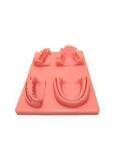 Suofeng Diş Hekimliği Dikiş Eğitim Seti - 4 Adet Yapay Diş Eti Modeli İle Pratik Yapma İmkanı