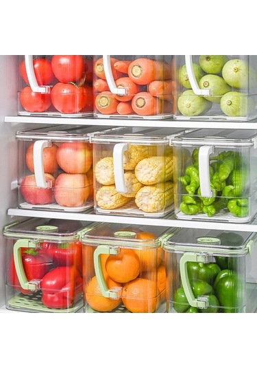 Pazly Yumurta Suntek Kutusu İçin Gıda Ev Dolabı Depolama Ef Yeşil