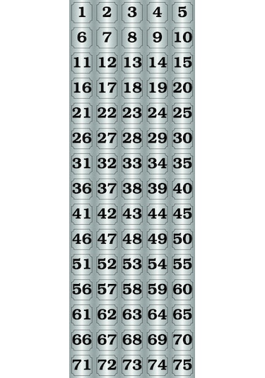 1-75 Kapı, Masa, Dolap Numarası Gümüş Metal Etiket 5x5 Cm