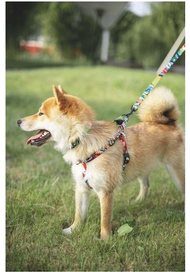 M-pets Urban Style Freestyle Köpek Göğüs Tasması L Pembe