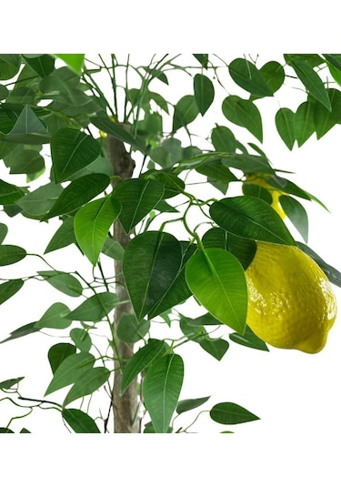 Yapay Limon Ağacı 130Cm 8 Limonlu Doğal Görünümlü Siyah Plastik S