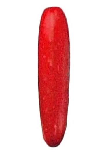 Nadir Ithal Kırmızı Salatalık Tohumu 5 Adet Tohum Red Cucumber