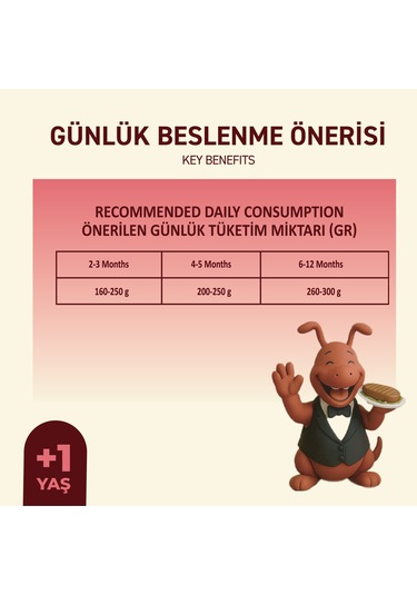 Sığır Etli Yaş Konserve Yavru Köpek Maması, Jöle İçinde Parça Etli, 400 Gr X 12 Adet