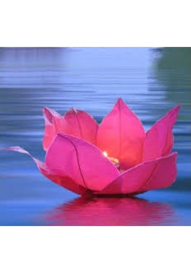 Kenpazar Nilüfer Su Çiçeği Su Feneri