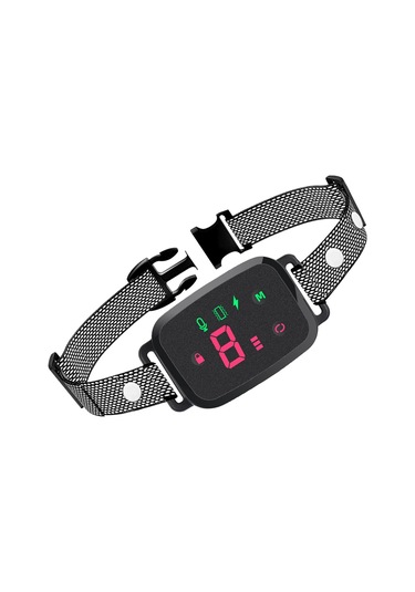 Suntek İç Mekan Oturma Odasında Çalıştırmak Için Köpek