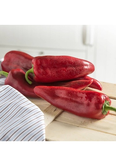 SunaGRi Yağlık Kapya Biber Sebze Tohumu