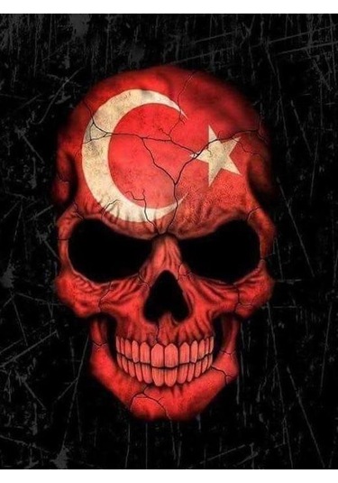 Soundmax Mono Sx-D3000.1D - Sencan Sound